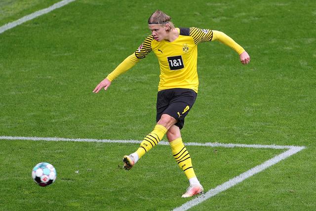 在莫塔的执 在莫塔的执